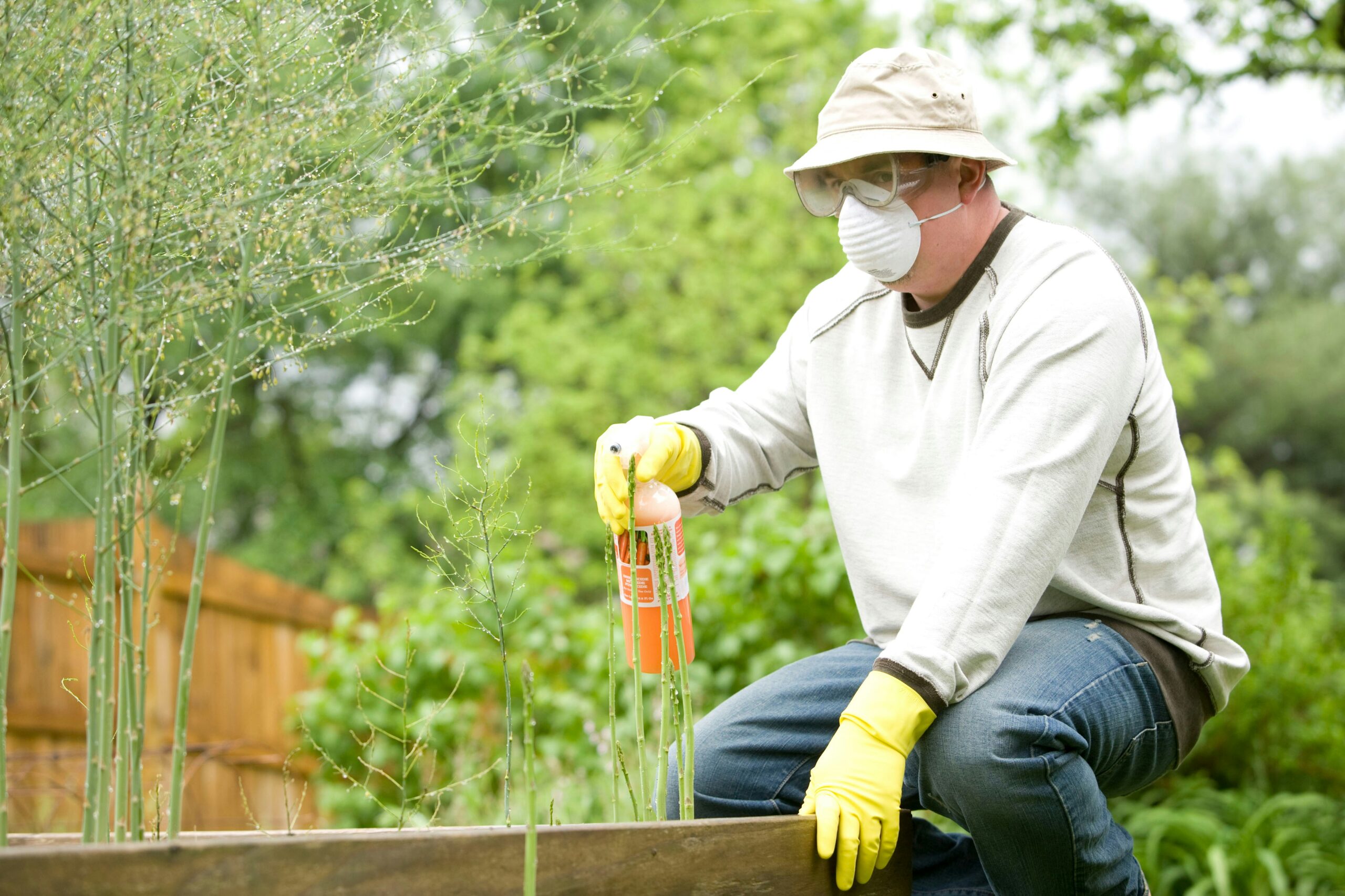 quarterly pest control highland village technician